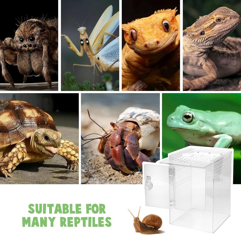 smartang Front Opening Terrarium Jumping Spider Enclosure,Tall Arboreal Tarantula Enclosure Terrarium with Cross Ventilation,Waterproof Acrylic Reptile Enclosure - Image 5
